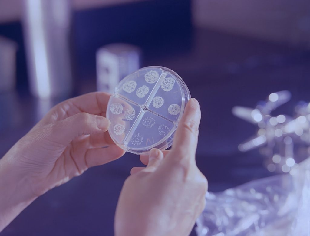 Unveiling the Hidden Gems: Budget-Friendly Research Assistance for Everyone