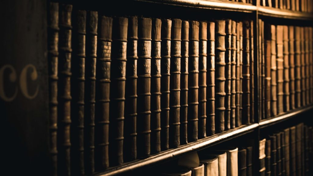 Unleashing the Power of Databases: A DIY Approach to Management Mastery